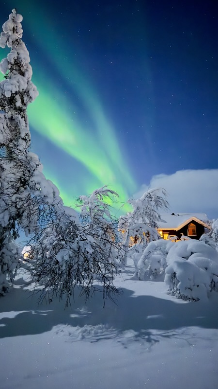 Aurore boréale verte au-dessus d'un chalet et de sapins enneigés