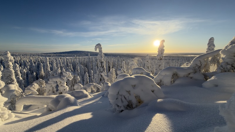 Forêt de sapins couverts de neige, soleil bas sur l'horizon